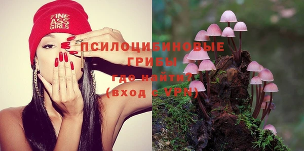 спайс Алексеевка